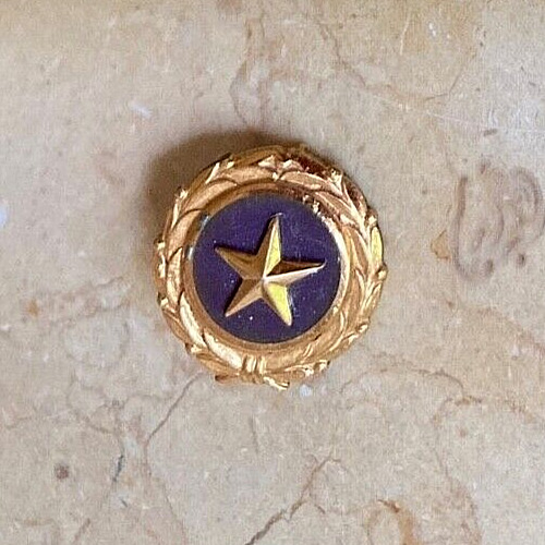WW1-WW2 U.S.ARMED FORCES GOLD STAR BY ACT OF CONGRESS 1947 KIA LAPEL BUTTON PIN