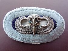 101st Aviation Airborne Jump Wing Oval Patch Badge Pin Military Vintage Rare Avn picture