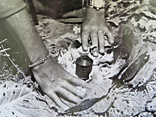 VINTAGE WW2 OFFICIAL USMC ORIGINAL PHOTO RYUKYU ISLANDS: CABBAGE BOOBY TRAP picture
