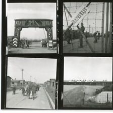 WW2 Russenlager Concentration Camp Contact Sheet John Florea WWII Photo  picture