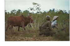 Vintage Mike Roberts Postcard Vietnam War SC11917 Life goes on during War picture