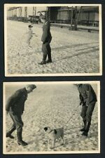 Soldiers Teaching A Dog New Tricks - Lot of 2 German WW2 Photos picture