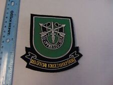 10th Special Forces Group  Bullion Jacket Patch picture