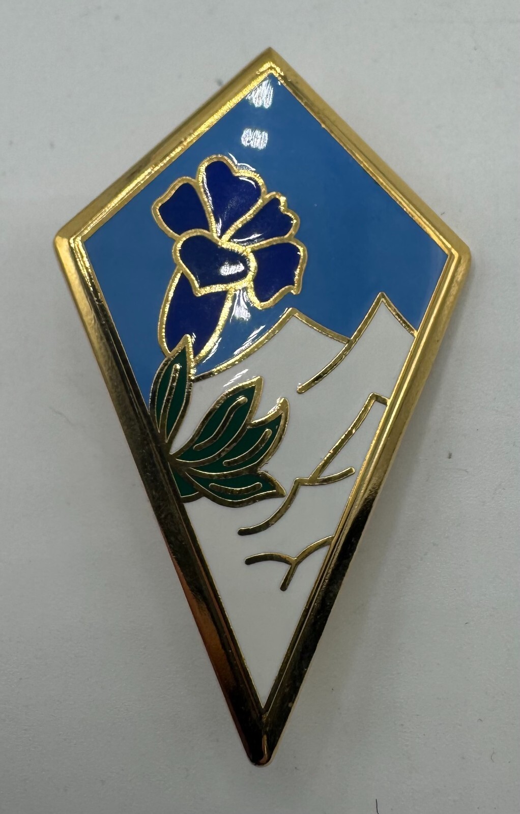 Vintage French 27th Alpine Infantry Regiment Unit DUI Enamel Pin Badge Montagne