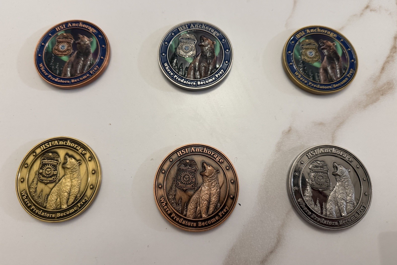 SET OF 6 COINS HSI ANCHORAGE ALASKA Police Challenge Coin HOMELAND SECURITY