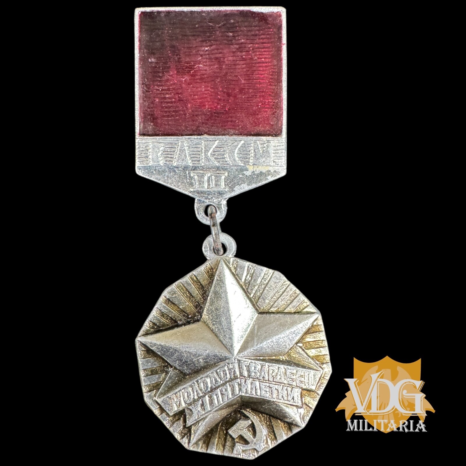 Soviet Komsomol Young Guardsman of the Five-Year Plan Badge Socialist Era #Y19
