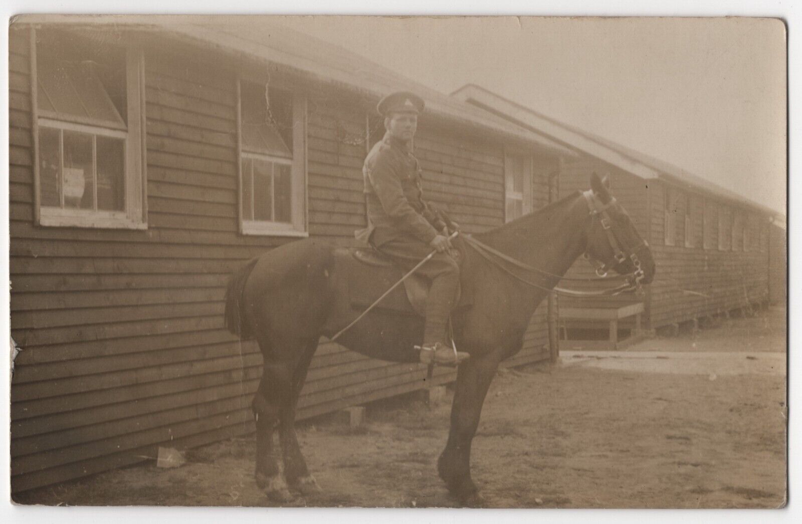 WW1 Era War Horse and Soldier RPPC Photo Postcard  World War One Canadian? UK?