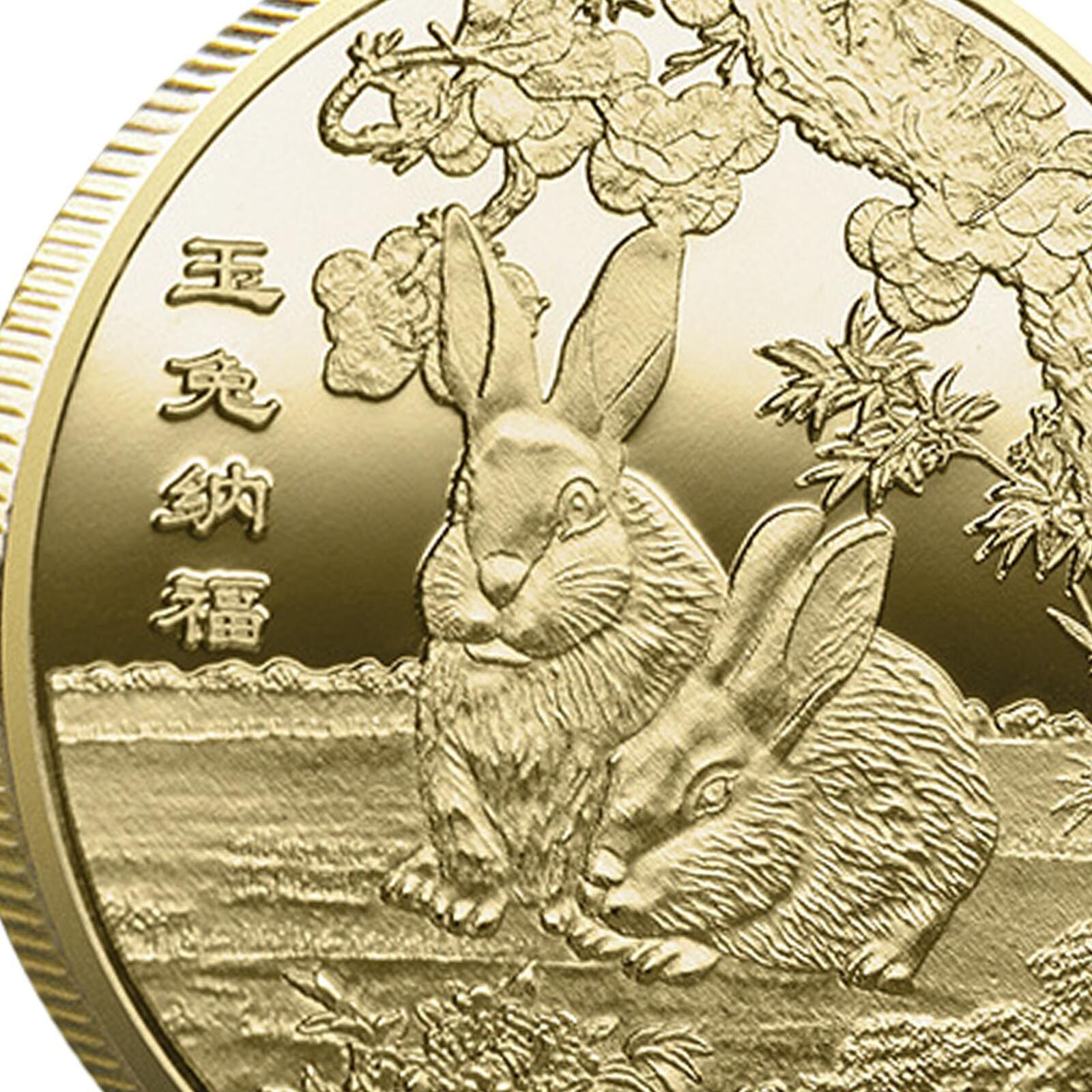 New Chinese Zodiac Year of The Rabbit 2023 Commemorative Coin in Capsule Gold
