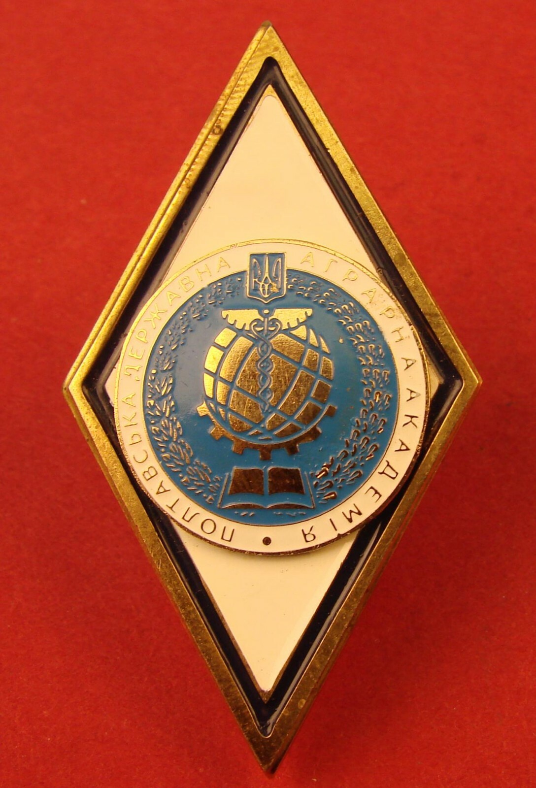 Ukrainian School BADGE Ukraine Poltava National Agricultural Academy University 