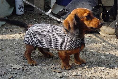 Medieval Armor For Dogs Chain-mail Armor For Dogs and Pets Perfect Gift