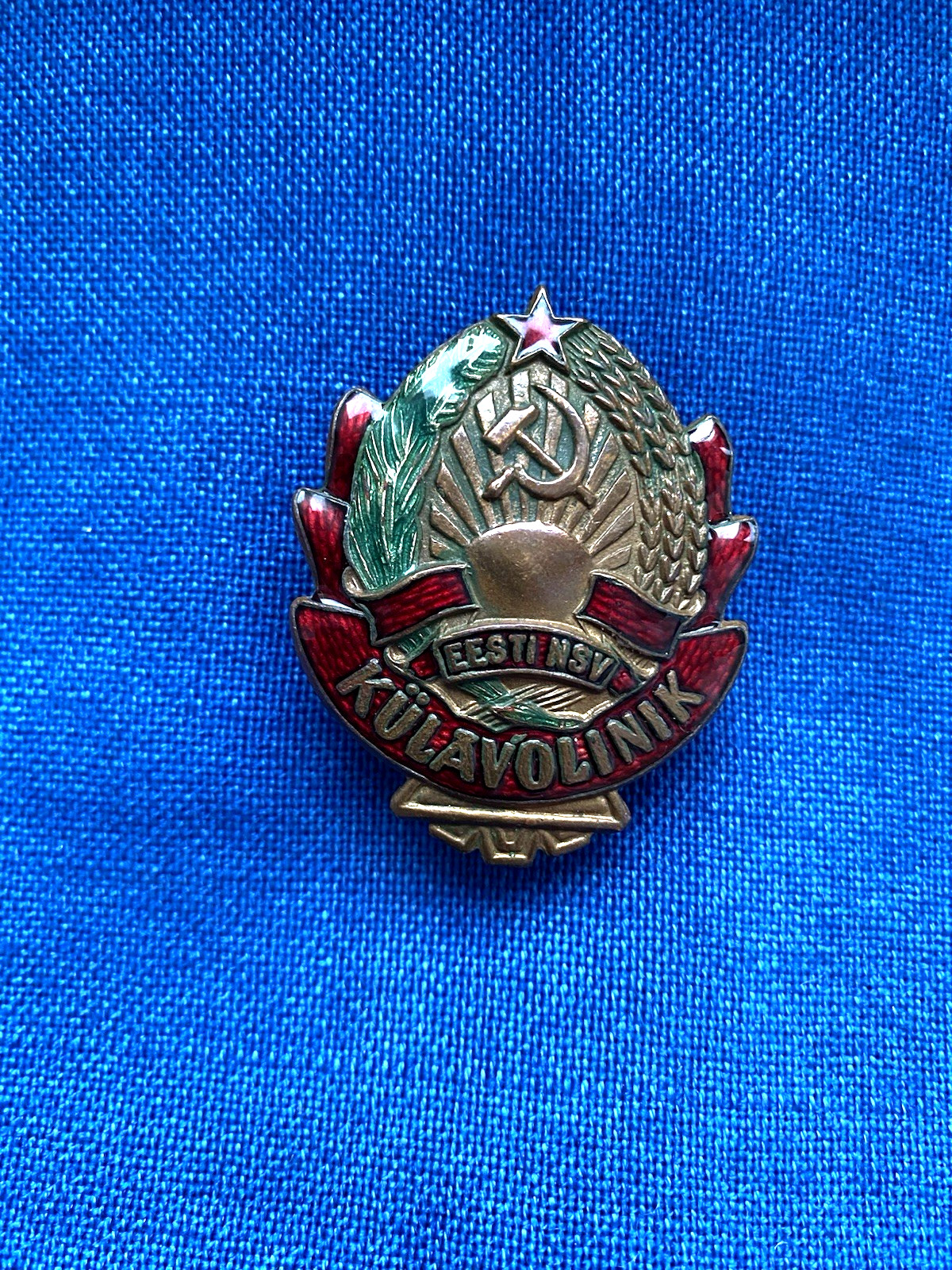 USSR Soviet Russia Badge Representative of Soviet Estonia in Village. 1940 s.