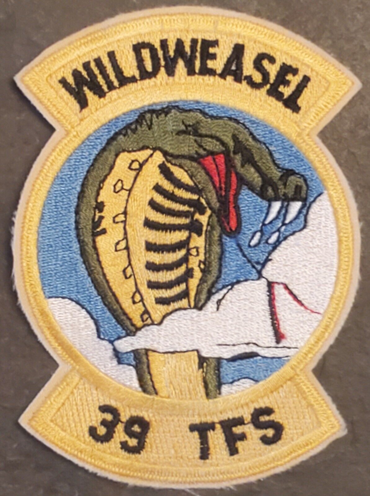 VINTAGE USAF 39th TACTICAL FIGHTER TRAINING WILD WEASEL SQUADRON PATCH COLOR ORG