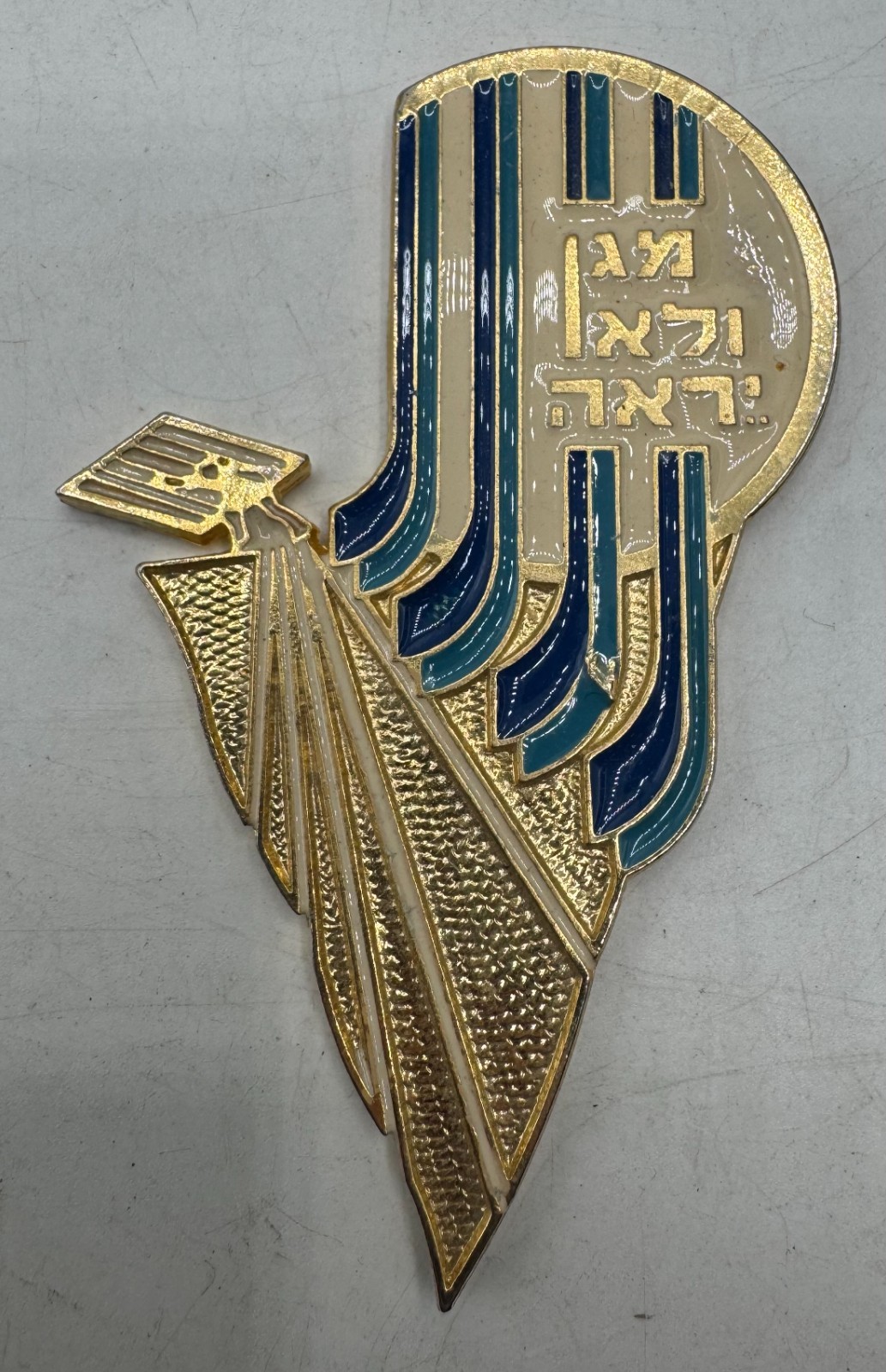 Vintage Israeli Enamel Award Plaque Badge Pin IDF Military Hebrew UNKNOWN