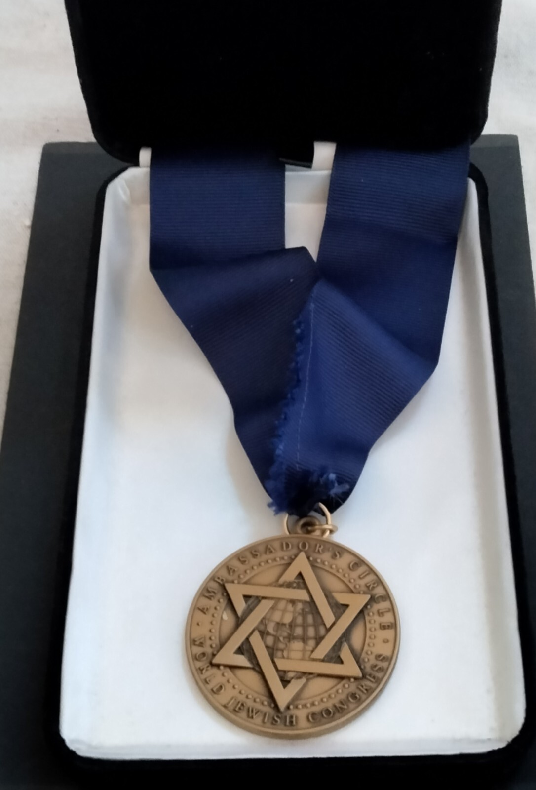 Ambassador's Circle World Jewish  Congress Medal Presented Honor Safety Rights