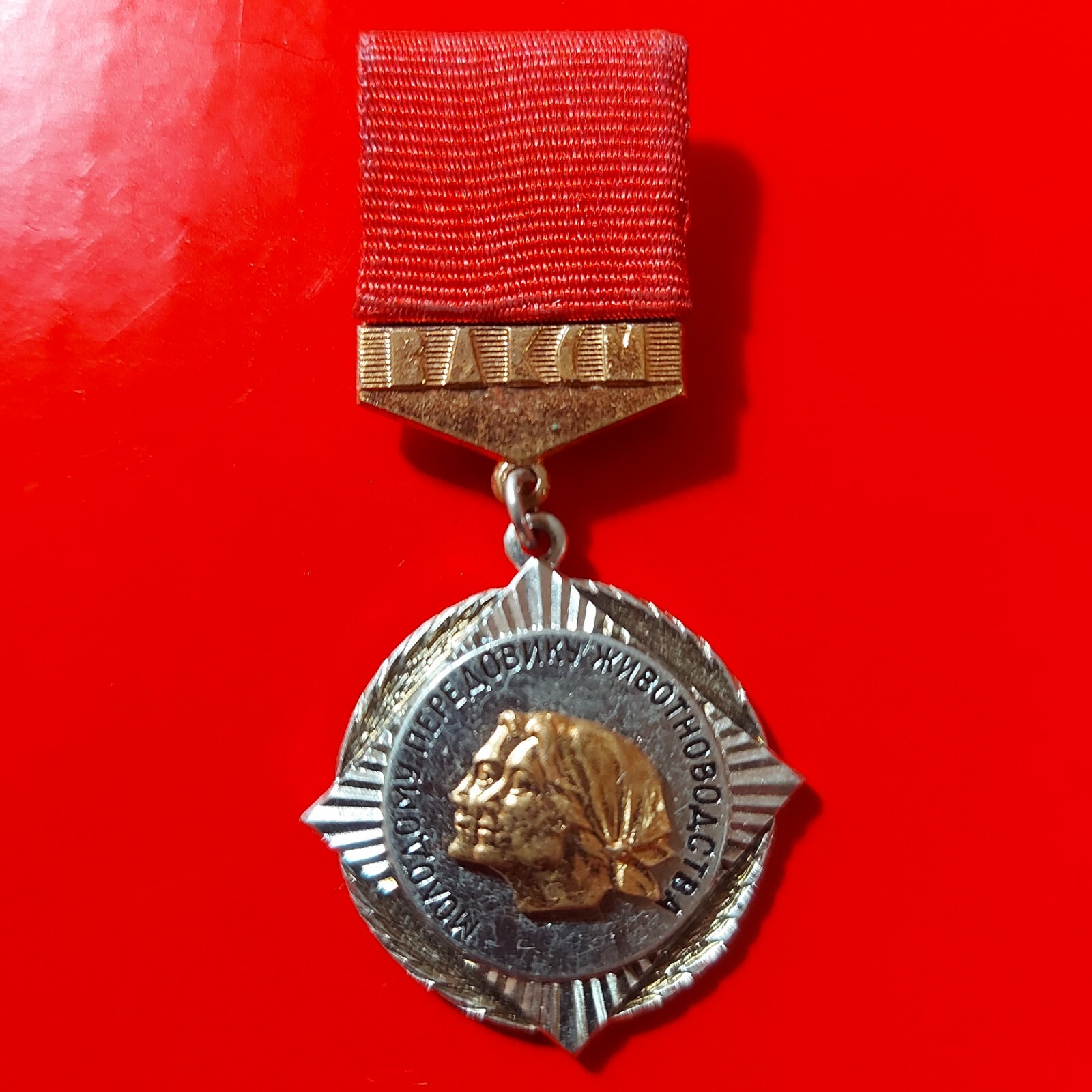 Soviet Original Order Medal Badge Young Leader of Animal Husbandry USSR.#300