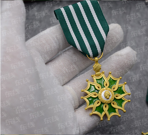 Medal of outstanding literary and artistic contribution of French Legion Medal