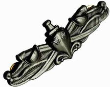 NAVAL SURFACE WARFARE Specialist ESWS REGULATION GRAY BADGE PIN ENLISTED US NAVY