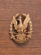 Polish Military Exemplary Soldier Badge Metal Eagle Award Poland