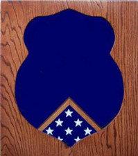 OSI OFFICE OF SPECIAL INVESTIGATIONS AWARD WOOD SHADOW BOX MEDAL DISPLAY CASE