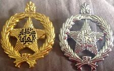 Iraq-Iraqi IP Beret Golden & Nickel Pins Badges, Lot of 2. picture