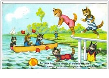 Cats. You Can Always Run If It Sings To You But Watch Out For The Dive