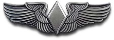 WASP PILOT WINGS WWII WOMENS AIR FORCE SERVICE PILOTS Gray Badge Pin