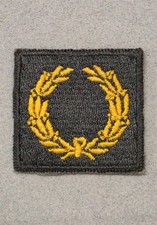 Cloth Army Badge 023: Meritorious Unit Award, 1st Award - on AG