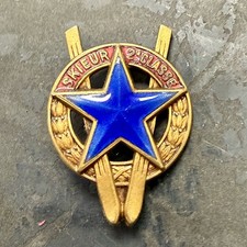 Org French Army Mountain Troop Skier 2nd Class Badge Chasseurs Alpine Algeria