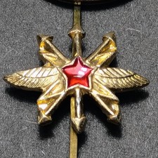 USSR Soviet Air Force Signal Troops Voyska Svyazi Winged Collar Pin Red Star