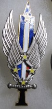 France FRENCH ARMY Badge  Light Aviation 1st ARMY LIAISON SQUADRON Fraisse 2791