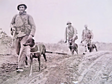 VINTAGE WW2 ORIGINAL PRESS PHOTOGRAPH IWO JIMA:  USMC DOG PATROL picture