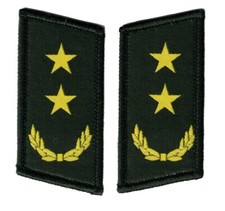 Chinese Collar tabs for the camouflage uniform. LT General
