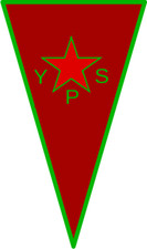 Kurdish Civil protection units (YPS) Self-adhesive Vinyl Decal (size in height)