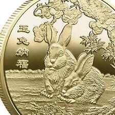 New Chinese Zodiac Year of The Rabbit 2023 Commemorative Coin in Capsule Gold picture