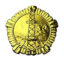 Albania Order Distinguished Labour Mining 1st Class Gilded Bronze Medal Award