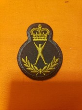 Level 4, Physical Education & Recreation Instructor Trade Badge