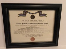 ARMED FORCES EXPEDITIONARY MEDAL / VETERAN COMMEMORATIVE CERTIFICATE (Type-3)