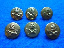 6 X WWII ROYAL AIR FORCE 23MM BRASS BUTTONS, GAUNT picture