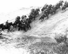 Polish Army Calvery Squadron, Soldiers on Horseback WWII WW2 8x10 Photo 960a