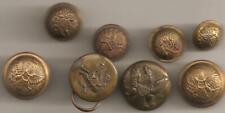 8 U.S. Army Brass Eagle Buttons  Smaller  sizes picture