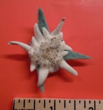 Real Flower Edelweiss Blossom Brooch Pin Lapel Hat Pin Badge WW2 Gebirgsjager picture