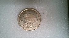 CHALLENGE COIN HARDER FIND GREAT SMOKEY MOUNTAINS GATLINBURG TENNESSEE VOLUNTEER