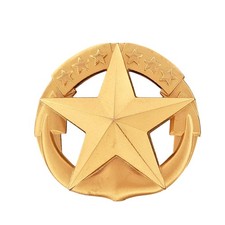 Command at Sea Breast Badge 1/20 10K Gold US Navy Military Insignia Lapel Pin