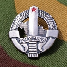 Yugoslav Border Guard breast badge.Screwback.