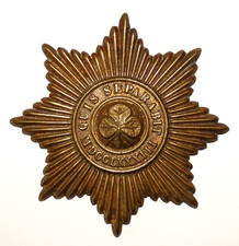 BRITISH MILITARY CAP BADGES, The Irish Guards Brass Large Pouch Badge, Post 1901