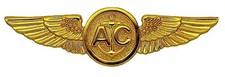 USN Aircrew Wings Badge Pin USMC Marine Coast Guard Gold Plated US Navy Air Crew