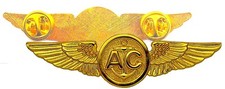 USN Aircrew Wings Badge Pin USMC Marine Coast Guard Gold Plated US Navy Air Crew