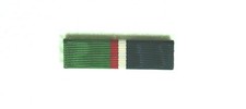Agency Dept of Homeland Security Border Patrol Chief's Commendation Medal ribbon