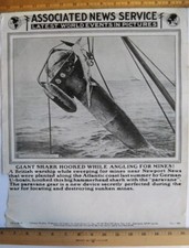 Associated News Service...World Events in Pictures, Angling For Mines 2/3/1919