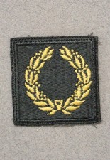 Cloth Army Badge: Meritorious Unit Award - on AG